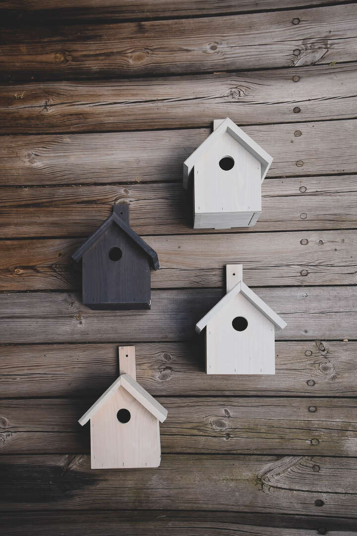 PATKAR Nistkasten Kiefernholz